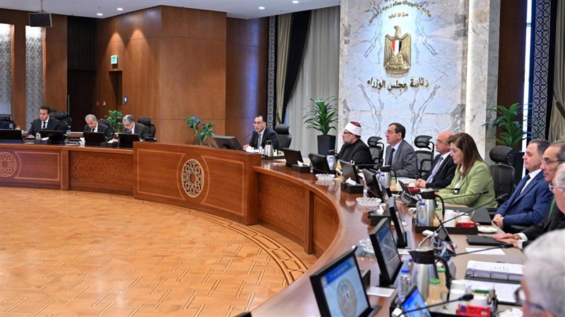مجلس الوزراء، فيتو