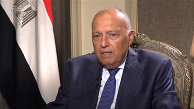 شكرى لـ بلينكين: الوقف الفوري لإطلاق النار أو الدخول في دائرة عنف تمتد لأجزاء أخرى بالمنطقة