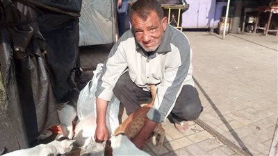 بيأكل القطط اللي مبيكلوش في بيته، حكاية عم محمد أشهر ماسح للأحذية بكفر الدوار (صور)