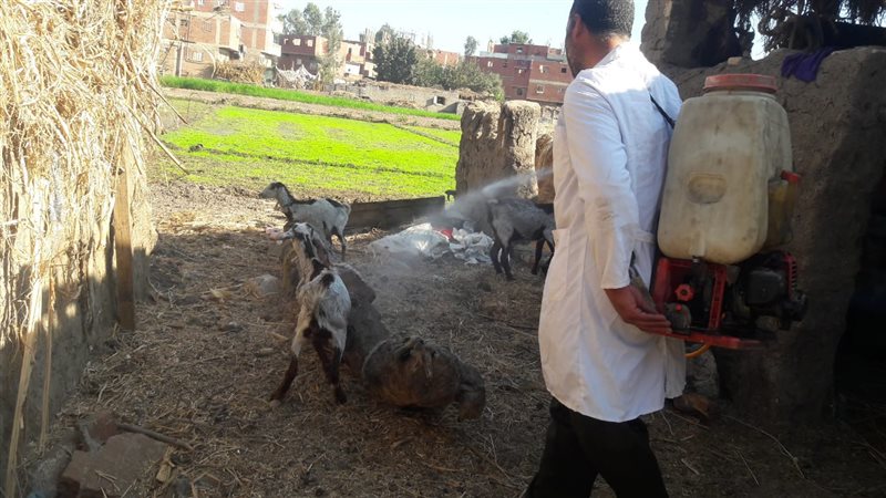 قافلة بيطريةمجانية