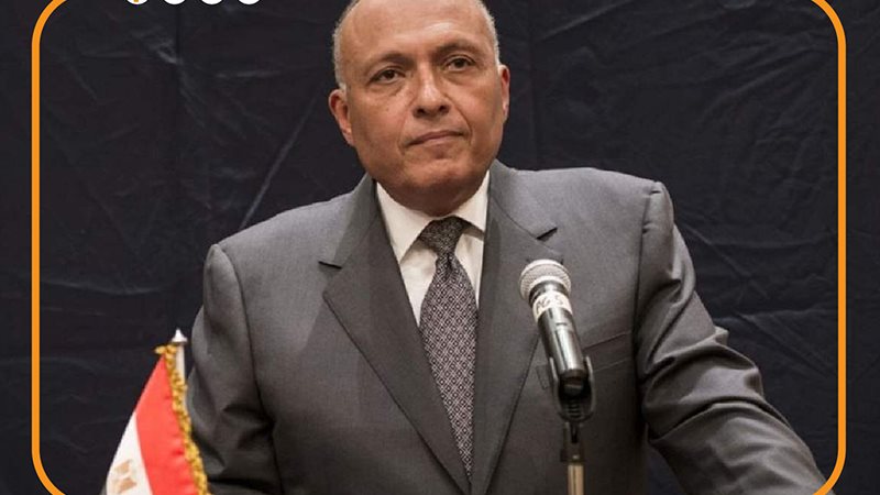 سامح شكري، فيتو