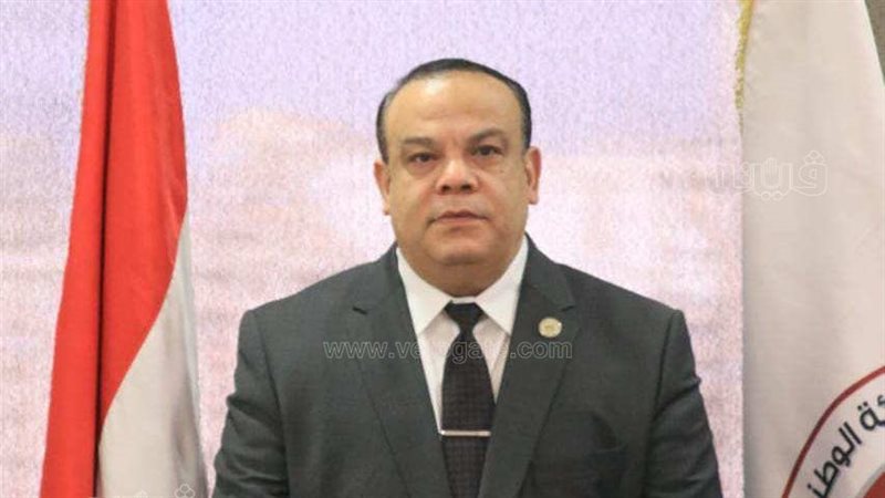 المستشار حازم بدوي،فيتو