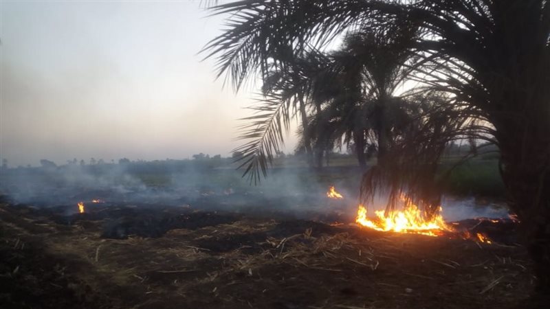 الحرق المكشوف بأسيوط،