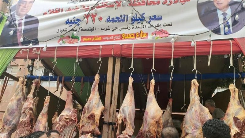 انطلاق مبادرة الإسكندرية