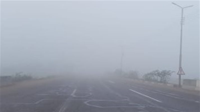 الشبورة المائية،فيتو