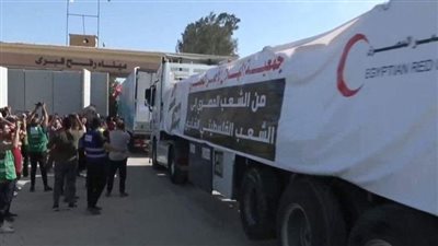 القاهرة الإخبارية: دخول 33 شاحنة مساعدات إلى غزة من معبر رفح 