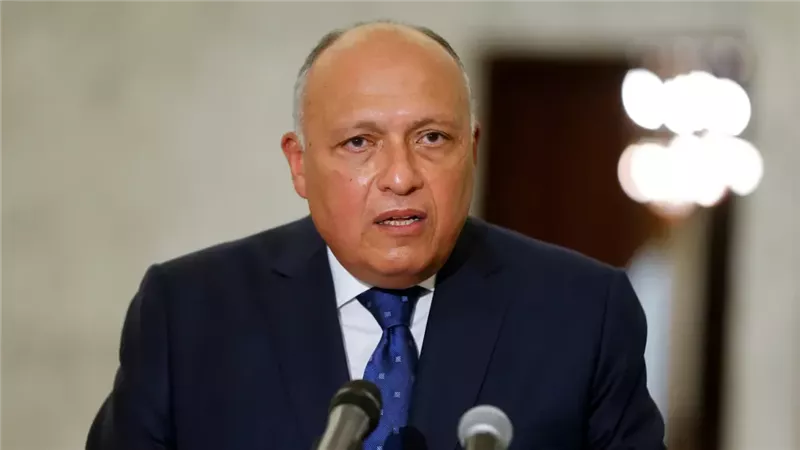 سامح شكرى وزير الخارجية،