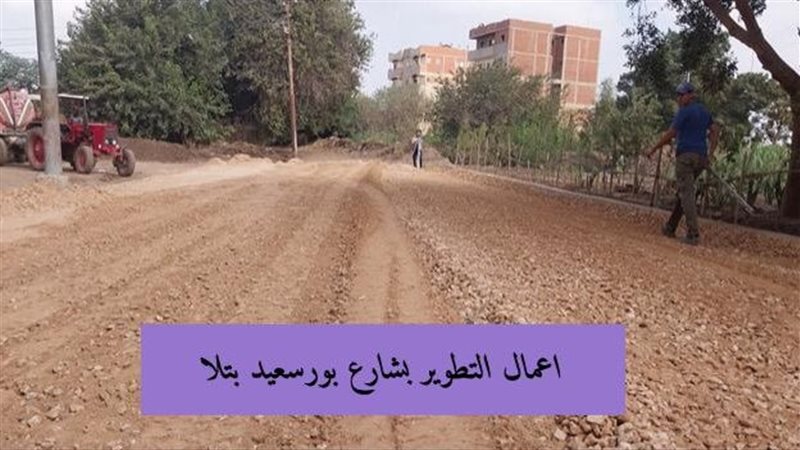 اعمال الرصف،فيتو