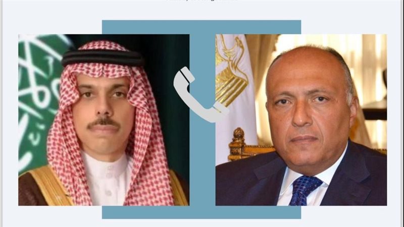 سامح شكرى وزير الخارجية،