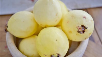 تفسير حلم الجوافة في المنام وعلاقته بالاستقرار المالي وتخطي الأزمات 