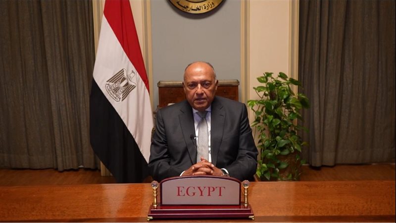 سامح شكرى وزير الخارجية،فيتو