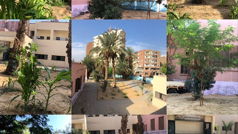 تطوير الشهر العقارى