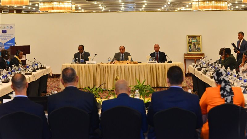 وزير الطيران الفريق