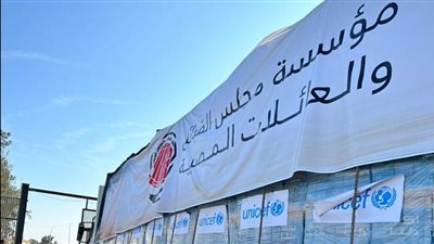 مجلس القبائل والعائلات المصرية يشارك بـ 31 شاحنة لقطاع غزة (صور) 