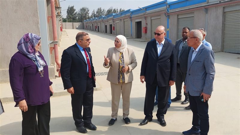محافظ القاهرة،فيتو