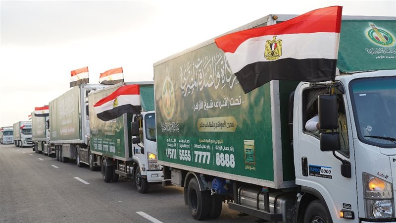 المساعدات المصرية،