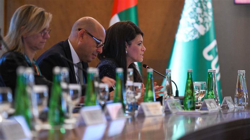 د.رانيا المشاط وزيرة