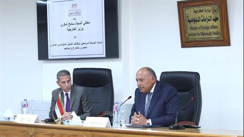 سامح شكرى وزير الخارجية