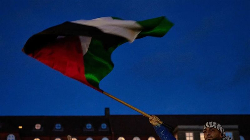 فلسطين، فيتو