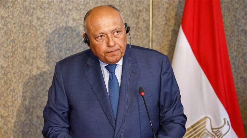 سامح شكري، فيتو