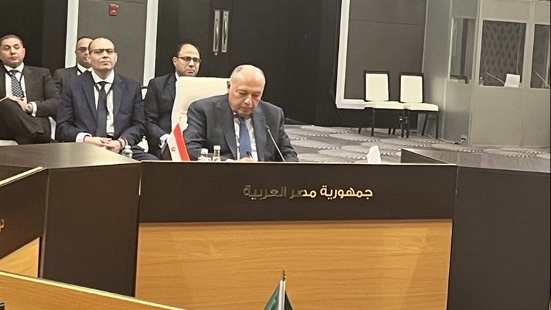 سامح شكرى وزير الخارجية،فيتو