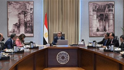 الحكومة تعلن إعداد منصة إلكترونية للتقدم للحصول على الرخصة الذهبية 