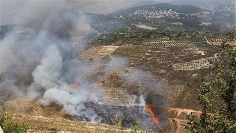 جنوب لبنان،فيتو