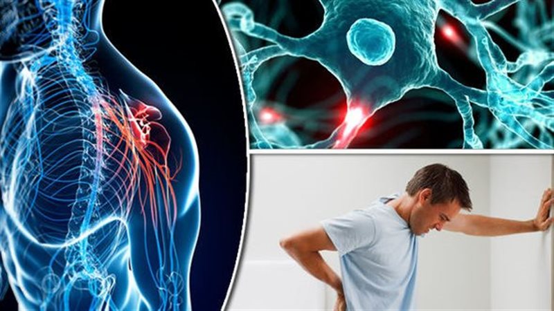 مرض التصلب المتعدد،