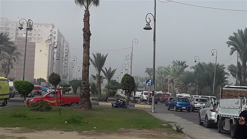 الاسكندرية 