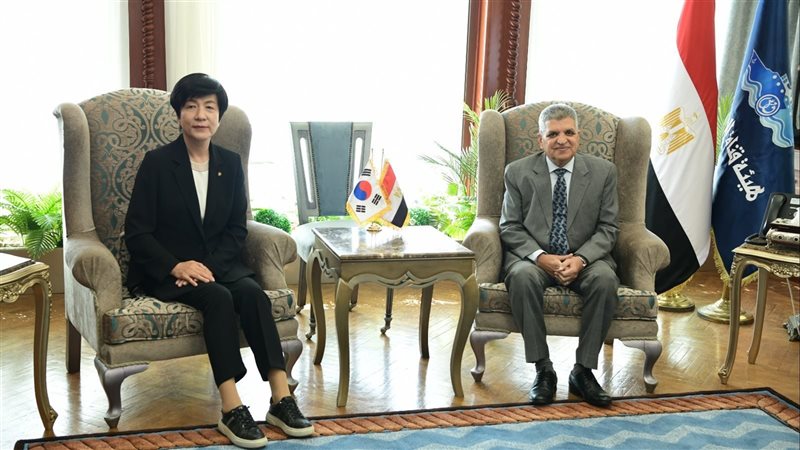 أسامة ربيع، فيتو