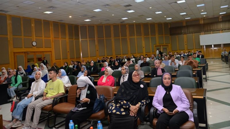مؤتمر نموذج محاكاة