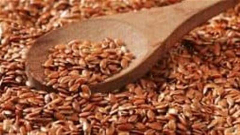 فوائد حب الرشاد،