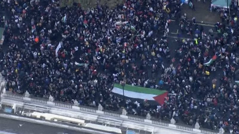 تظاهرات مؤيدة للفلسطينيين،