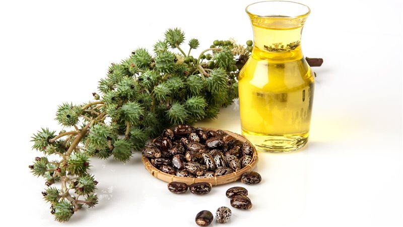 فوائد زيت الخروع،