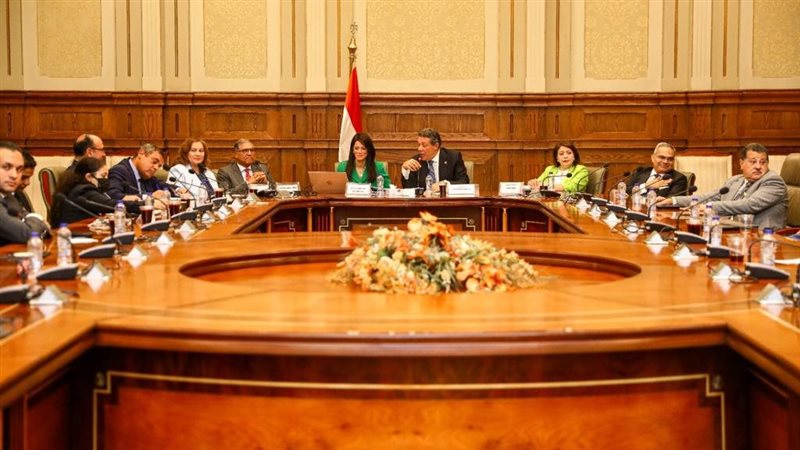 لقاء المشاط مع لجنة