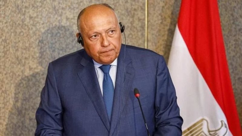 سامح شكرى وزير الخارجية،