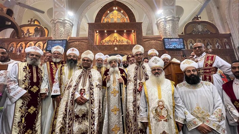 إيبارشية المعادي،فيتو