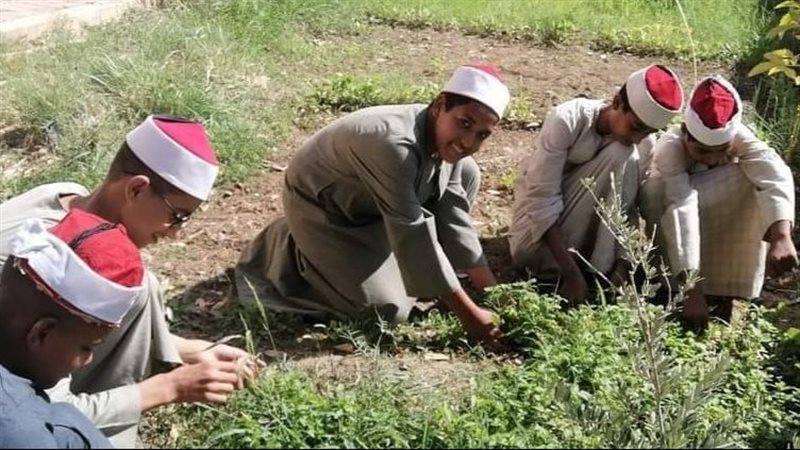جانب من تفعيل البرنامج،فيتو