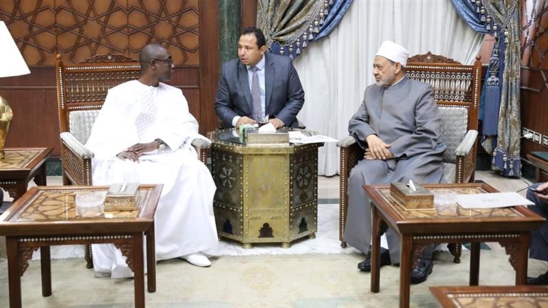 لقاء شيخ الأزهر مع