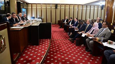 رئيس حقوق الإنسان بالبرلمان يرد على تعليقات كبيش حول قانون الإجراءات الجنائية