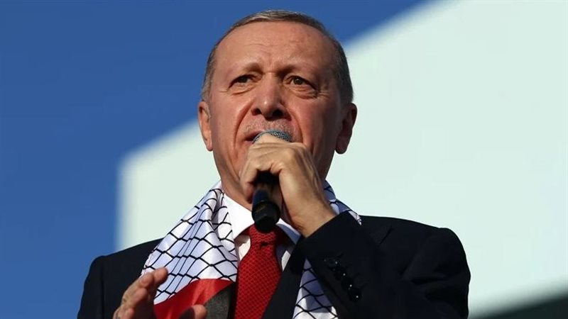 أردوغان، فيتو