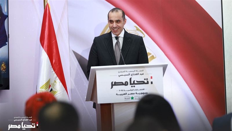 المستشار محمود فوزى.فيتو