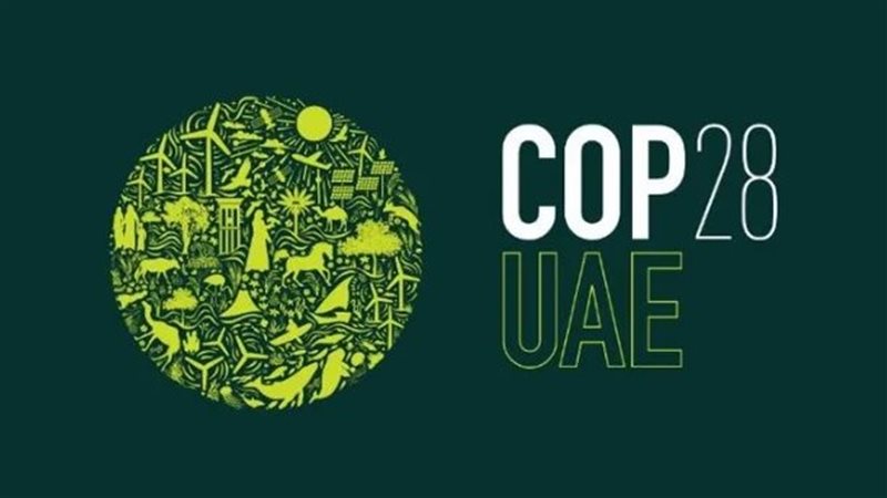 مؤتمر المناخ، فيتو
