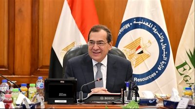 وزير البترول يعين رئيسا جديدا لشركة أيلاب 