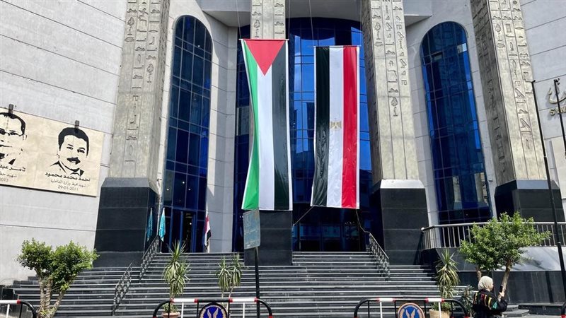 نقابة الصحفيين، فيتو