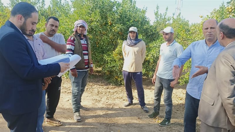 وزارة العمل،فيتو