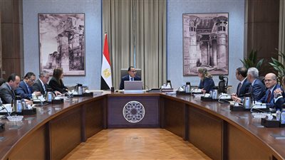 مدبولى: نتطلع لبدء مشروع مجمع صناعة السيارات في أقرب وقت ونقدم كل الدعم 