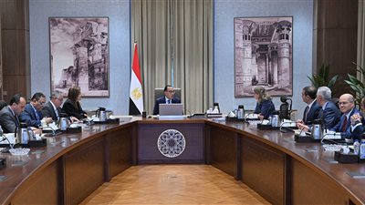  ملامح دراسة مشروع مُجمع صناعة السيارات متعدد الأغراض.. مدبولى: نتطلع للبدء في أقرب وقت ممكن.. ومستعدون لتقديم كل صور الدعم الممكنة