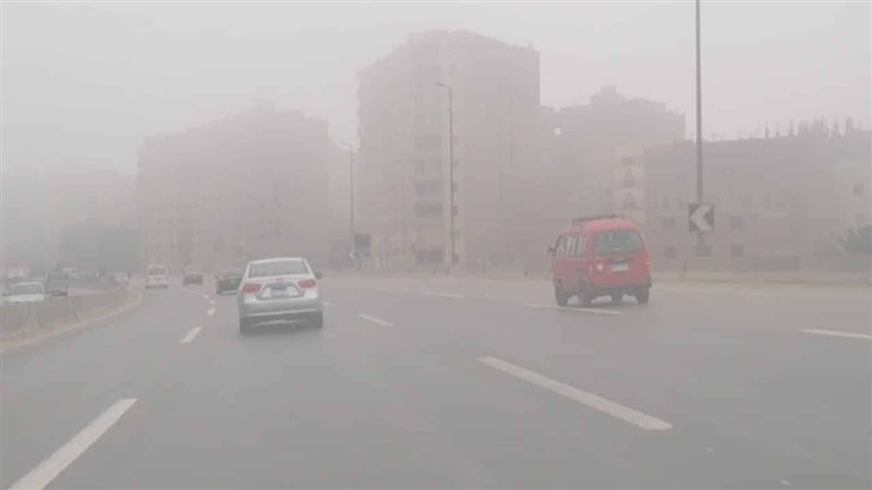 الشبورة، فيتو 