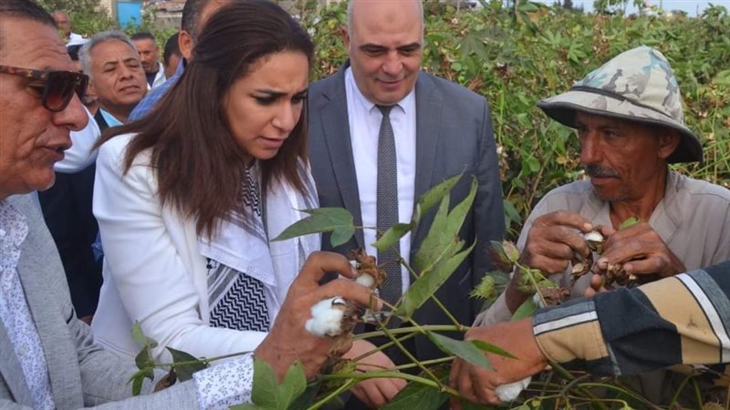نائب محافظ البحيرة،
